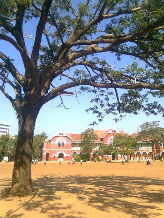 Wesley School Play Ground